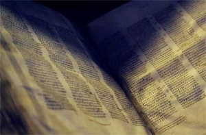 biblianlinea